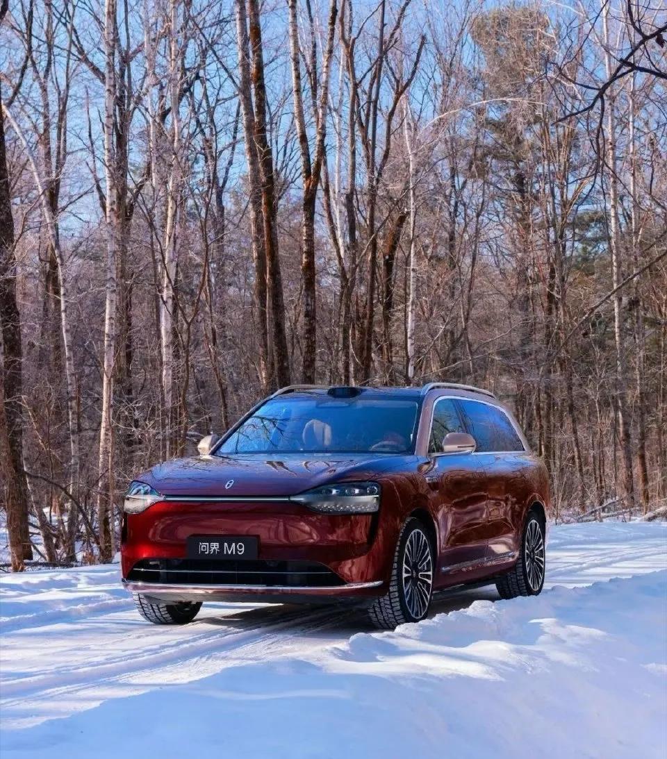 新年商场看了这两款车，预算30玩买哪一款好