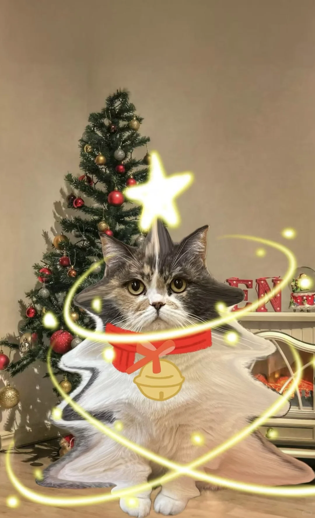 不是圣诞树买不起，而是猫猫更具性价比