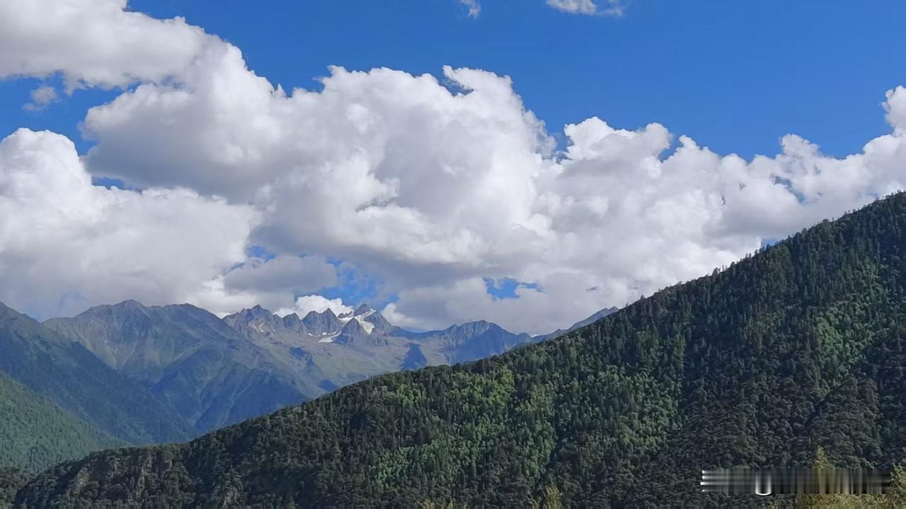 蓝天白云，青山绿水，好风景！随手拍秋季树叶 分享一张拍的清晨阳光 蓝天治愈风景 
