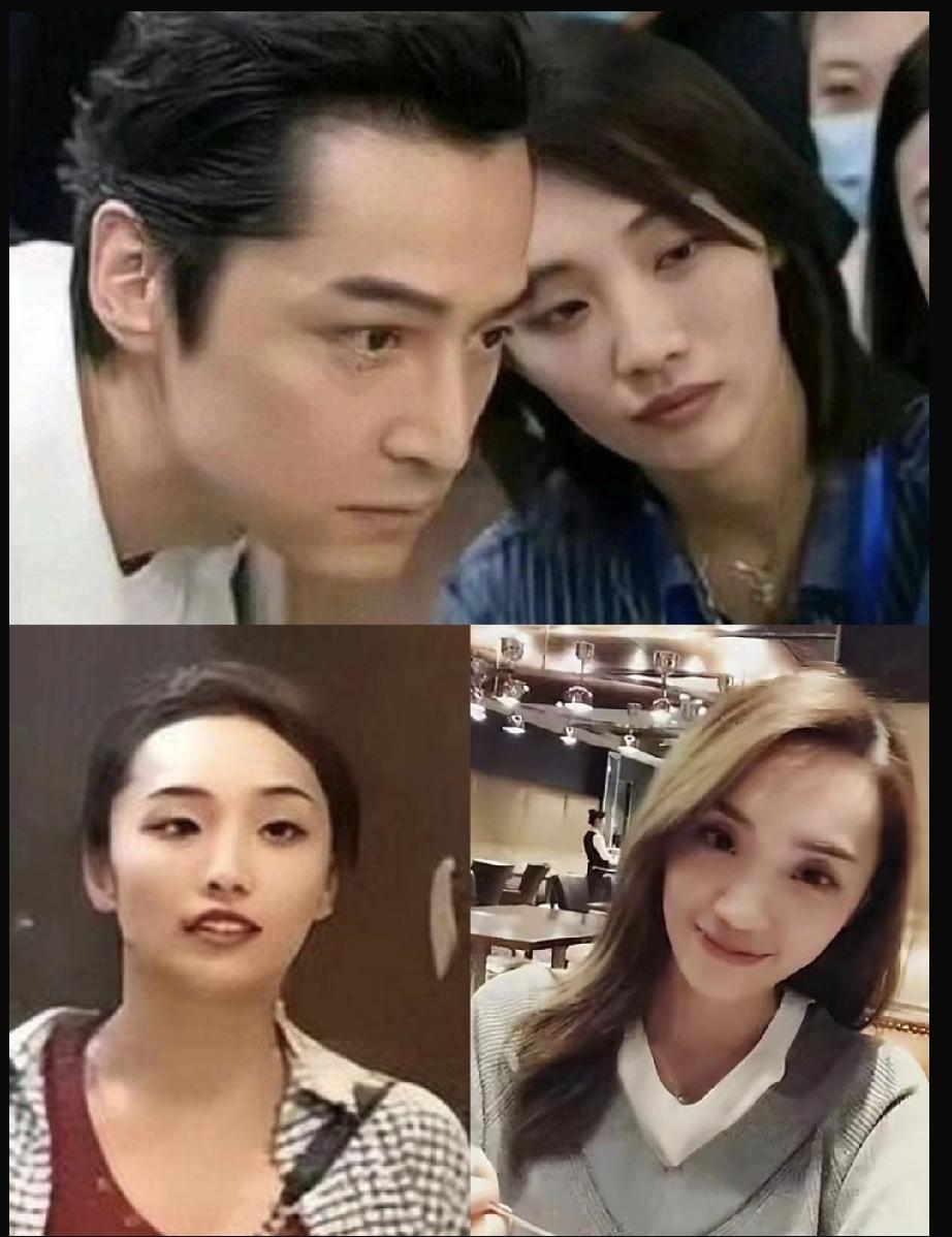 黄曦宁嫁给胡歌后，
两人在外界的眼里简直是天造地设，
羡煞旁人。
但随后的一个采