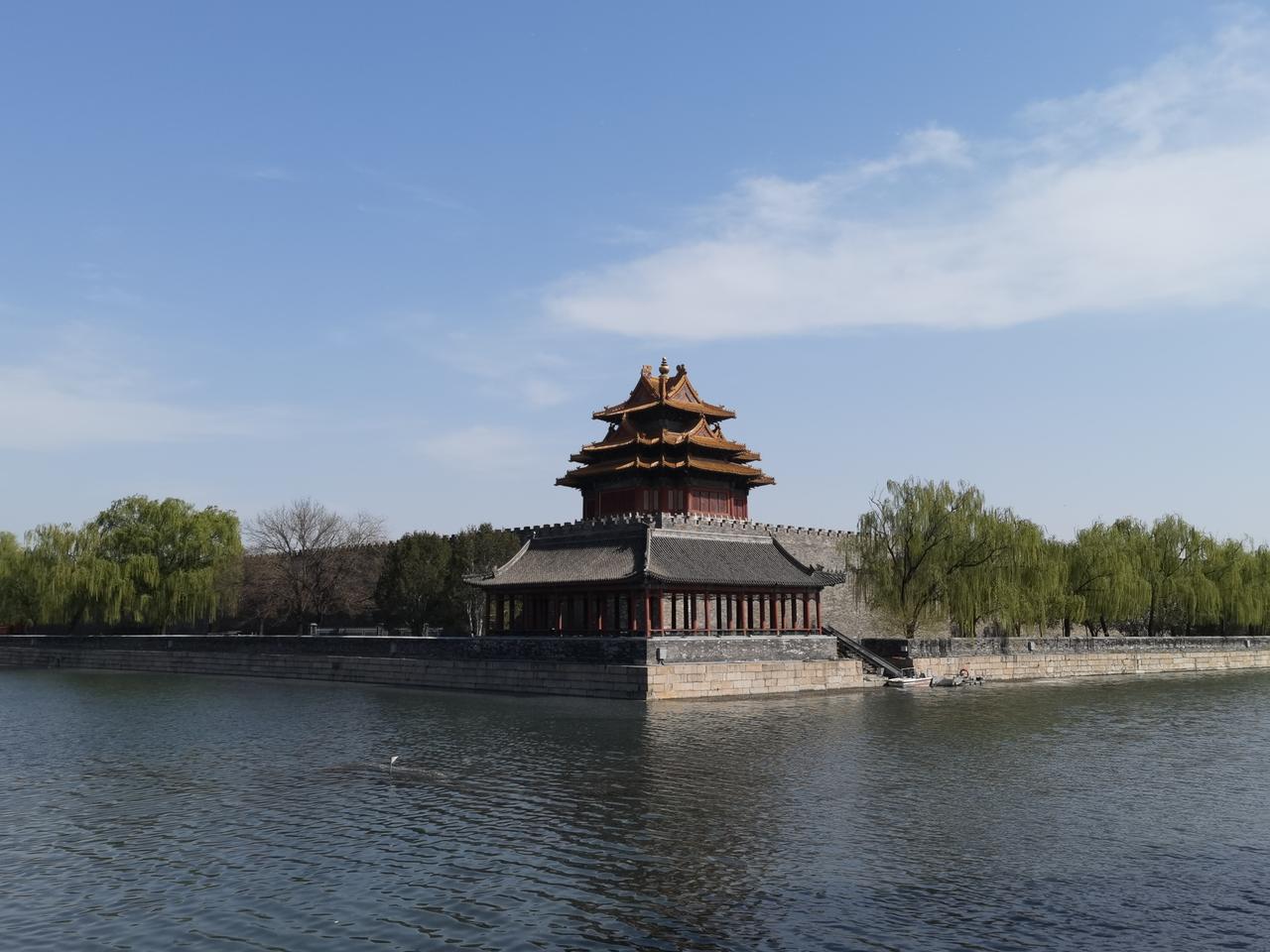 漫步北京
花开时节的故宫西北角及景山公园即景。