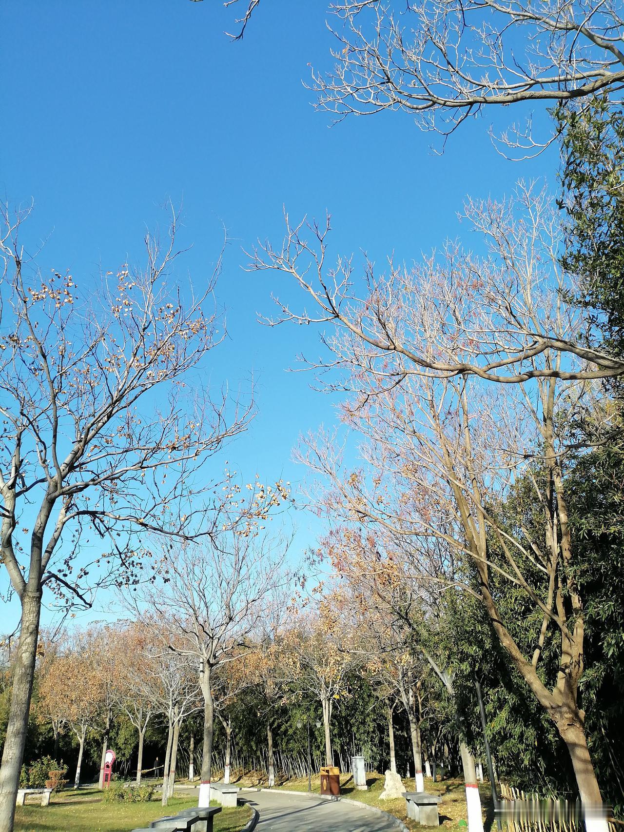 晒图笔记大赛 天空湛蓝，这纯粹的色彩总能让人心情愉悦。就像油画里描绘的水乡、城市