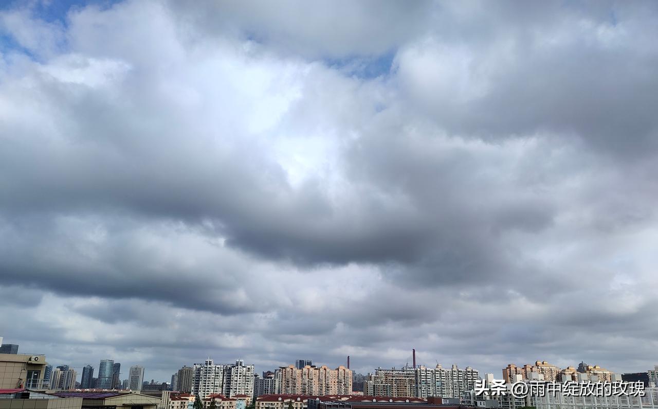 一大早，天空就布满了乌云。这云可真够“实在”的，一大片一大片把天遮得严严实实，就