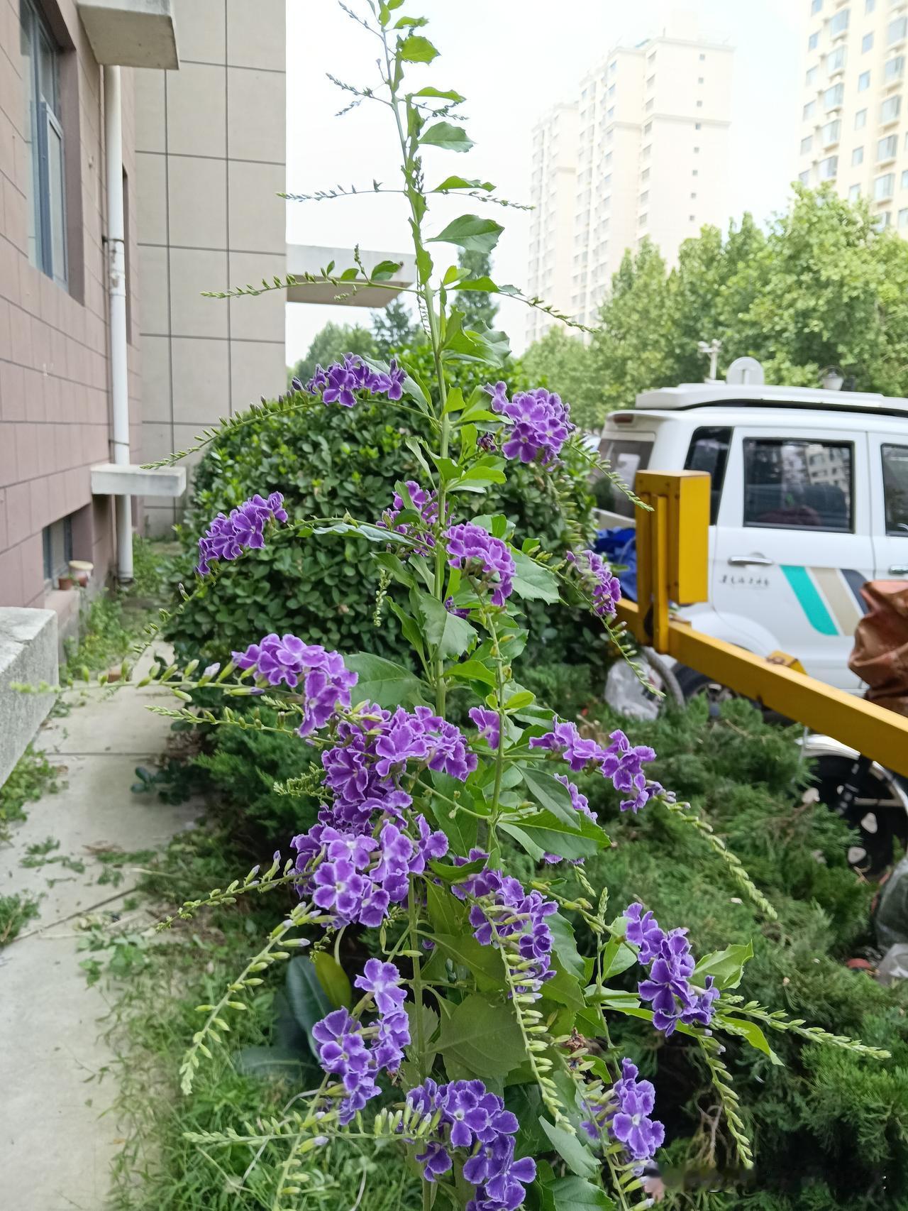 升学宴是否应该取消 升学宴根本没必要一刀切全取消，该掐掉的是那些变了味的大操大办