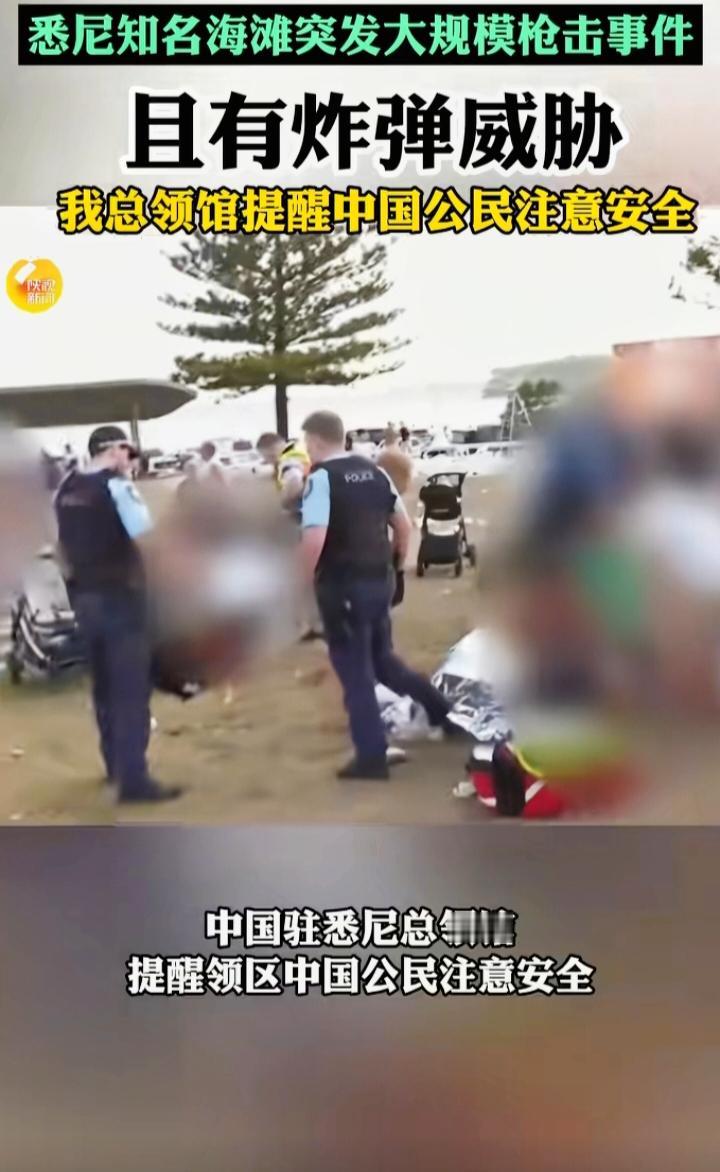 悉尼邦迪海滩枪击案更新：16人遇难，枪手为50岁父亲和24岁儿子
 
刚看到悉尼