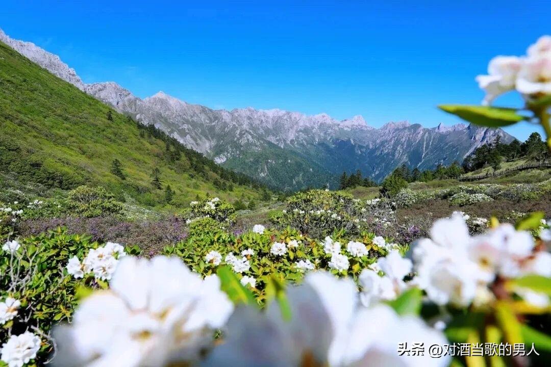 今年春天最想实现的心愿就是运气爆棚，事事顺心如意，老人们孩子们身体健康平安快乐！