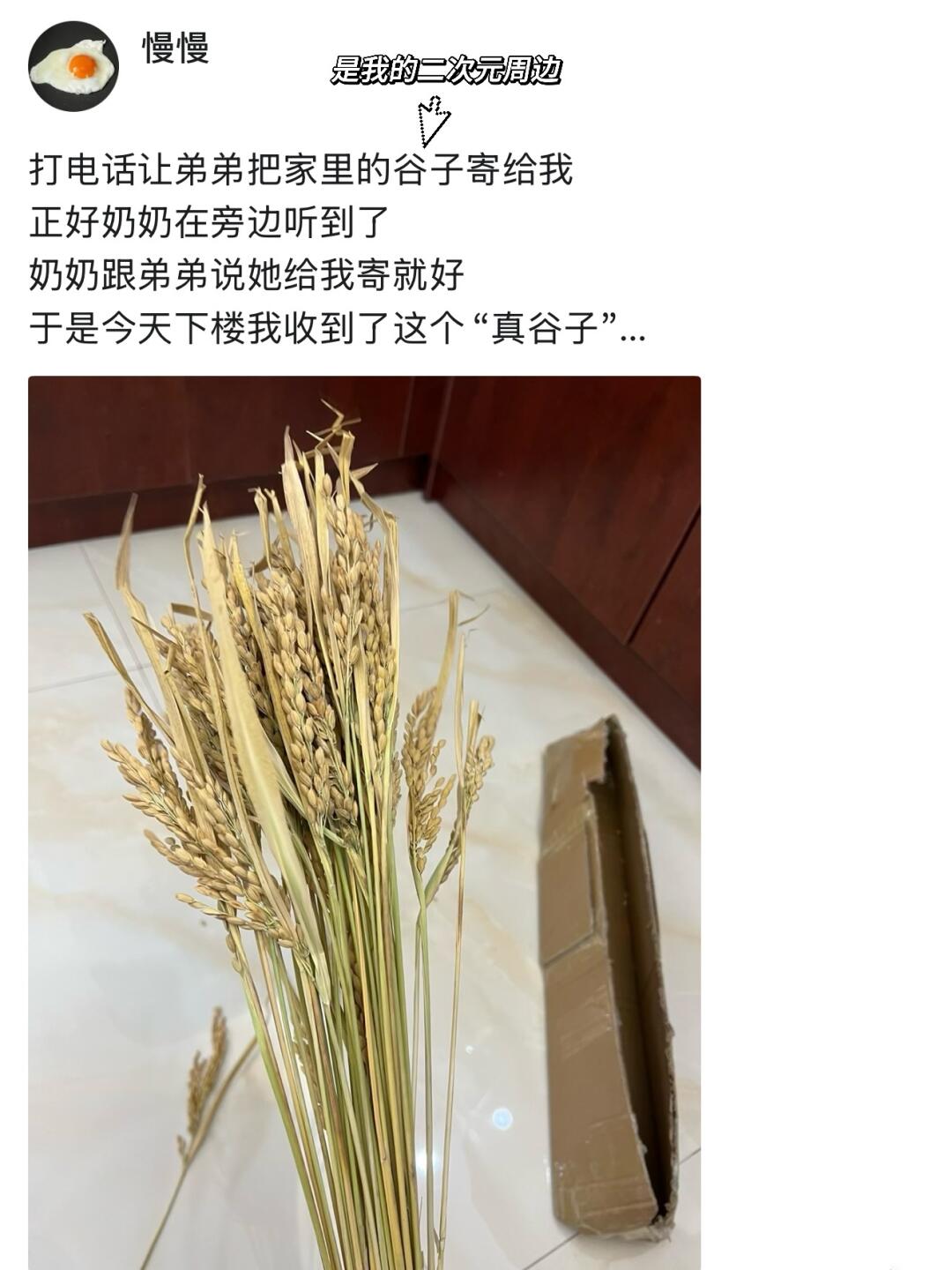 大馋奶奶给我寄的真谷子...