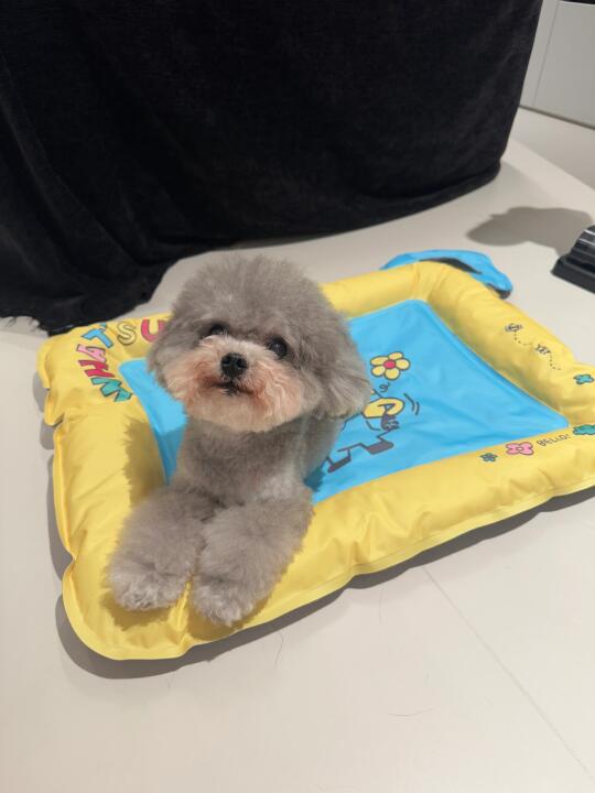 小斗的快乐源泉！
