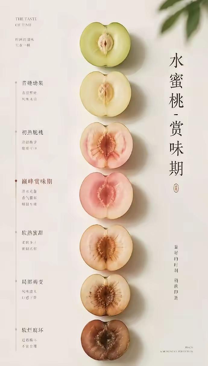 最好的时间，
都是转瞬即逝。