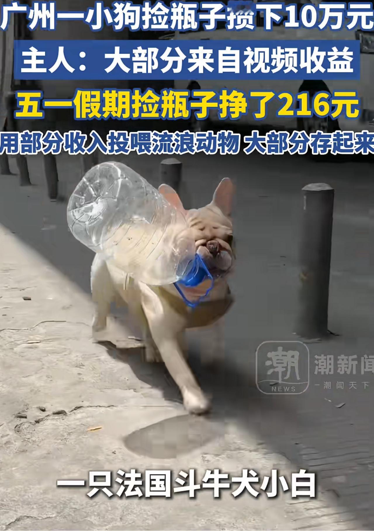 真的感觉连狗都不如！

    广州一条狗热衷于捡瓶子，既然攒下了了十万元，五一