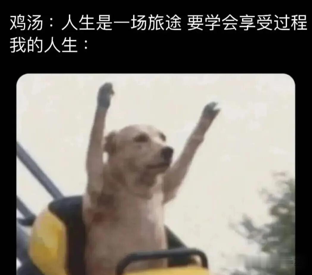 耶！要开始下坡啰！ 