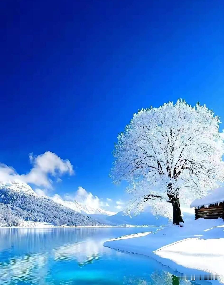 周五上班了，一切都很好。

工位上堆满了小零食，润喉糖，干果，橙子，饼干等等。网