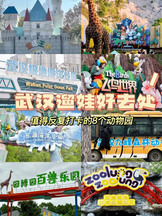 武汉值得打卡的8⃣️个动物园‼️遛娃必备！