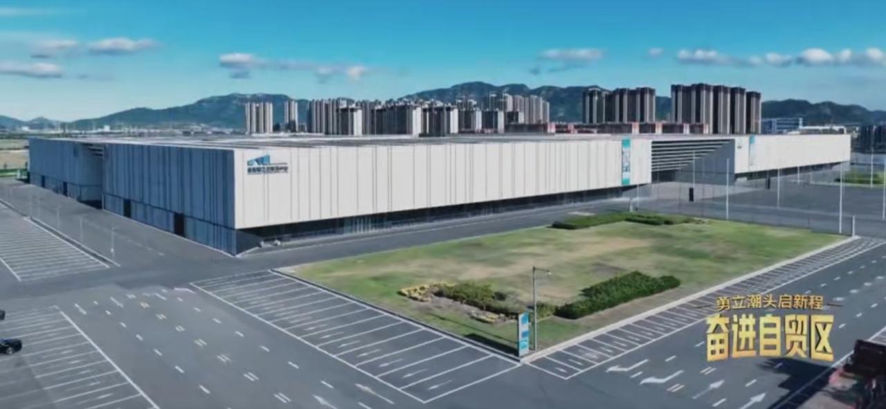 自贸试验区汽车堆场，数千辆新车整齐列队、气势恢宏，码头吊机起落有序，滚装船静待启