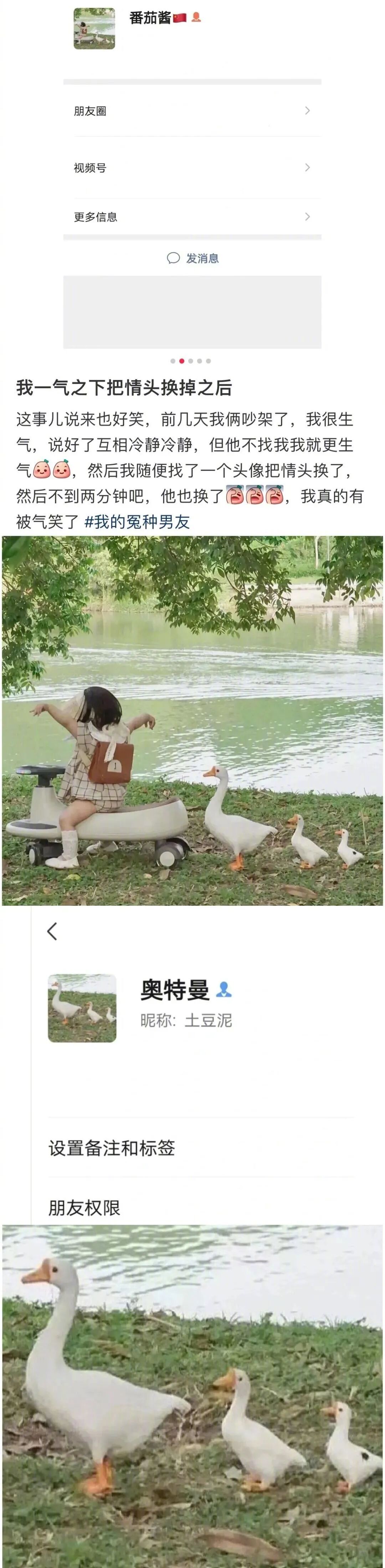 我不允许还有人不会给自己台阶下！ 