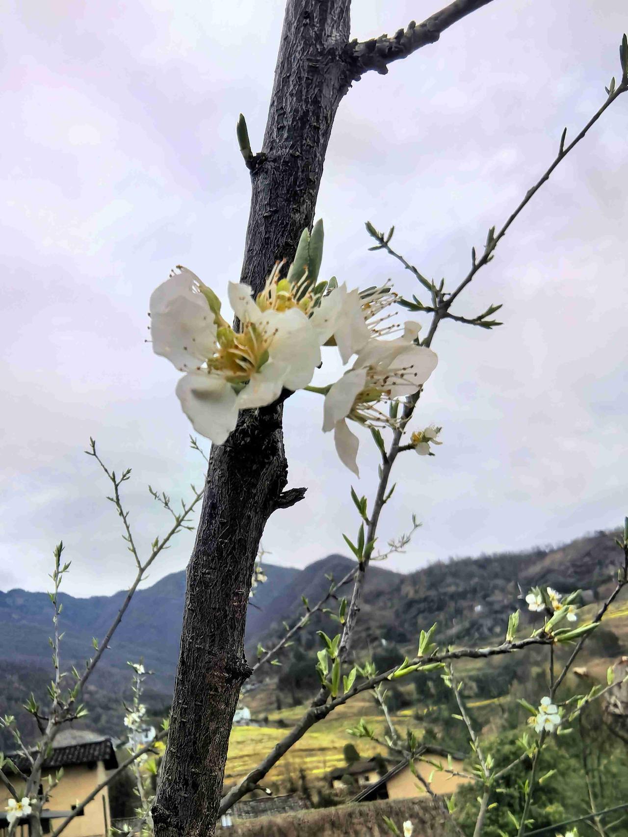 我的今日状态：😁轻松愉快
我这里的天气：☀️晴天
