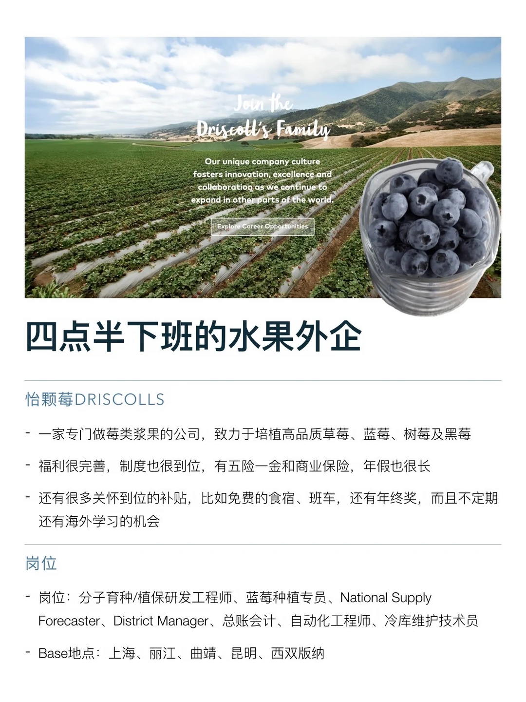 水果外企有想来的吗，空窗期友好、不在乎学历