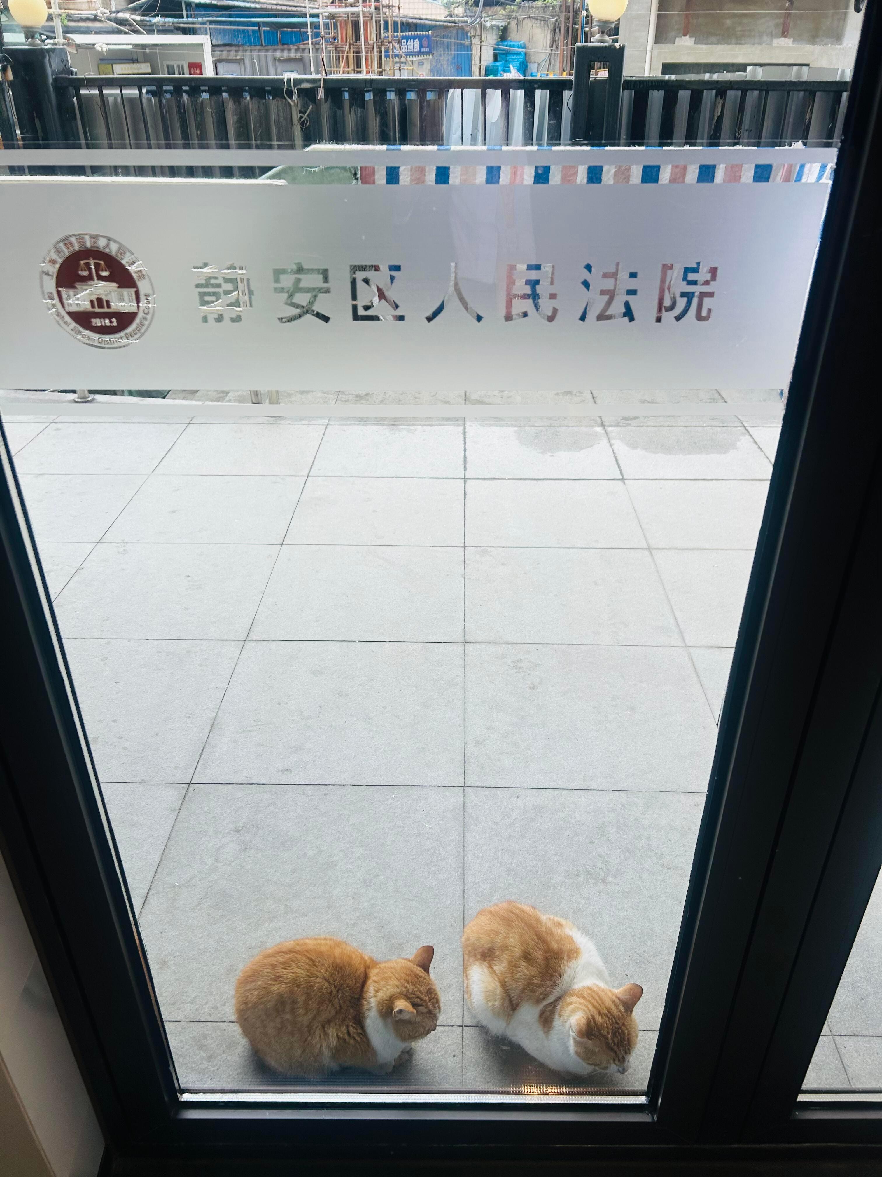 “双方因花色分配不均而闹上法庭” 