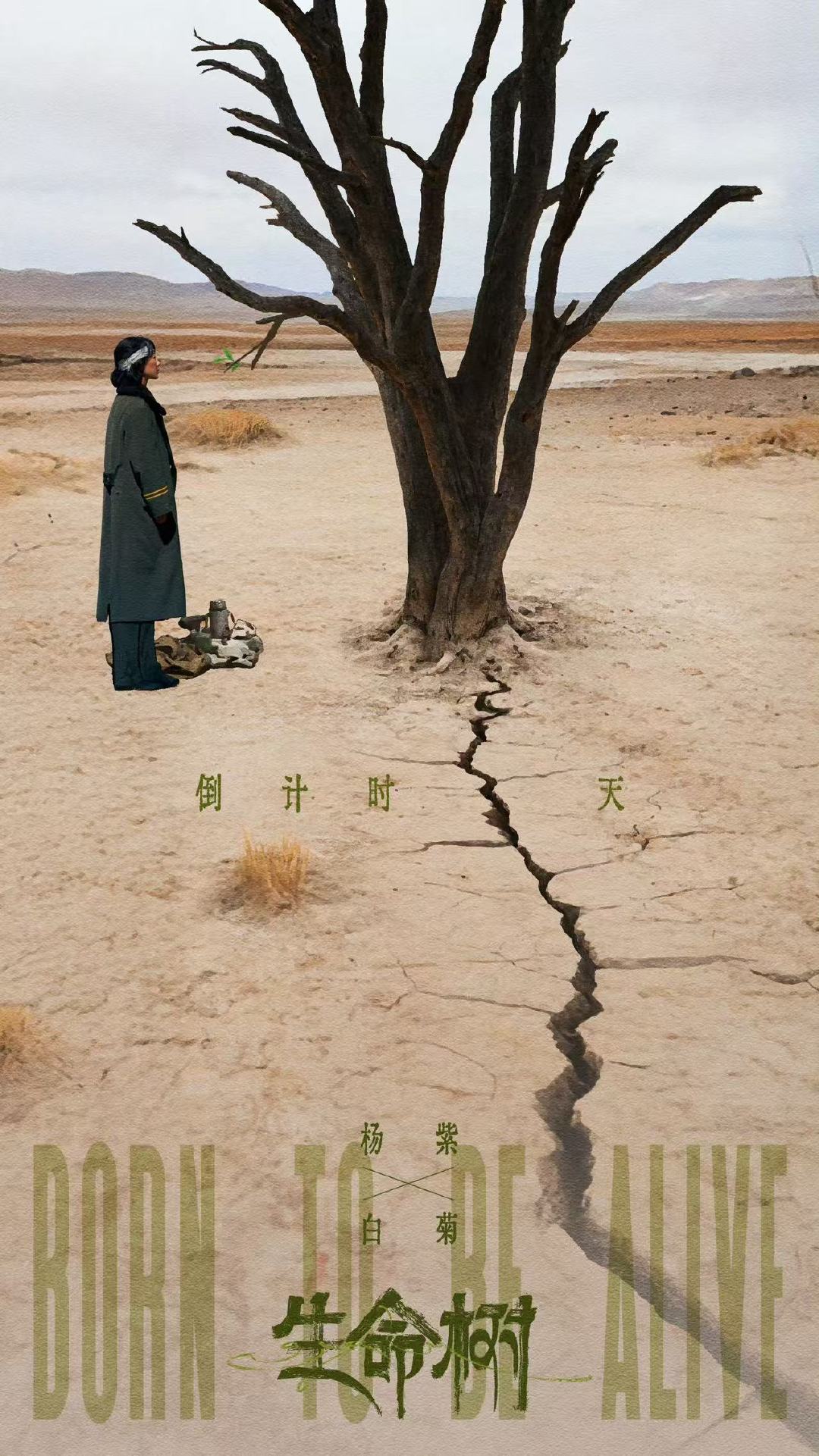 杨紫生命树开播倒计时1天海报杨紫生命树枯木逢春海报 杨紫生命树开播——倒计时1天