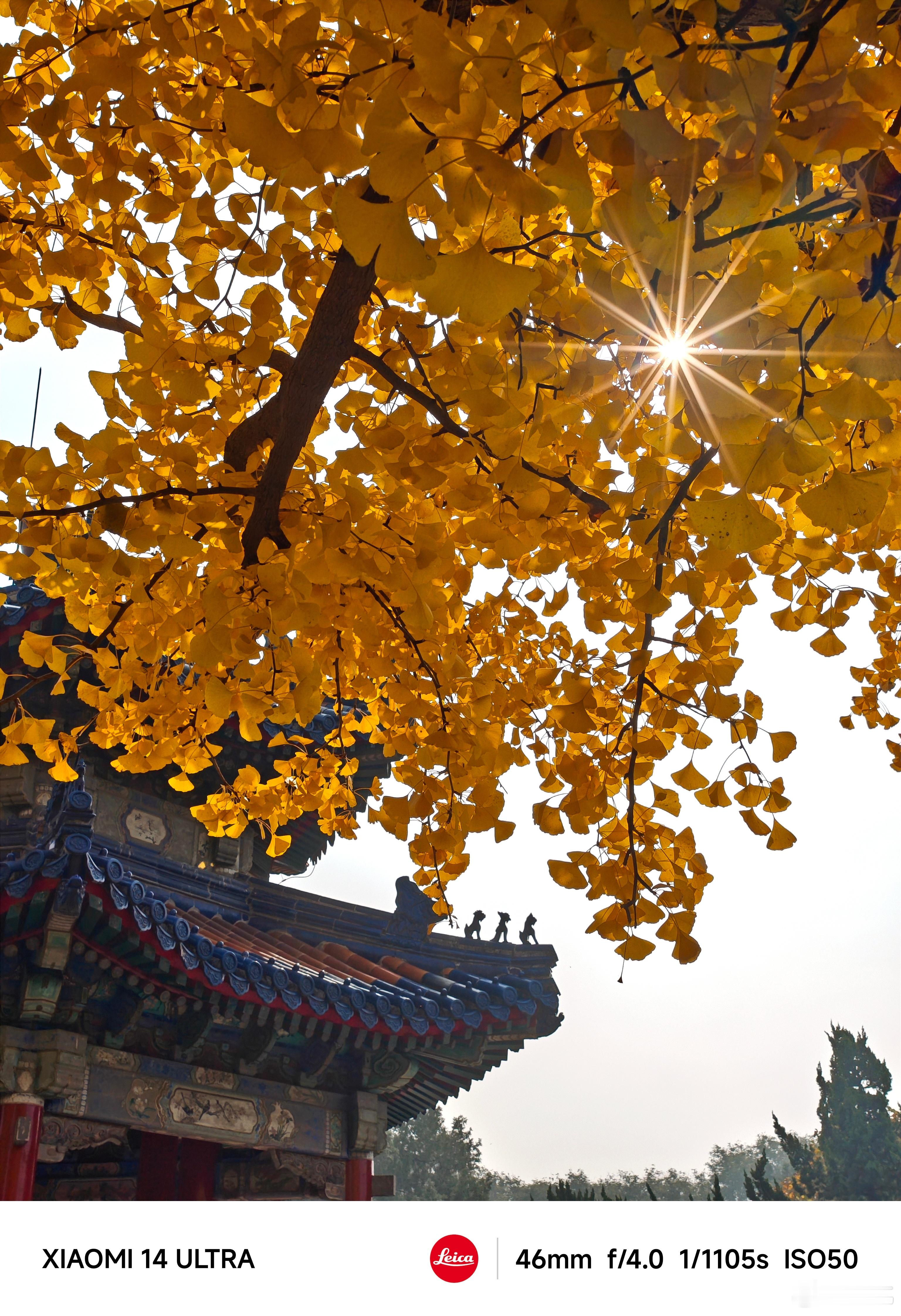 今天忙得没时间发微博[泪]在市内开车都开了百八十公里，明天还要早起，大家早点休息