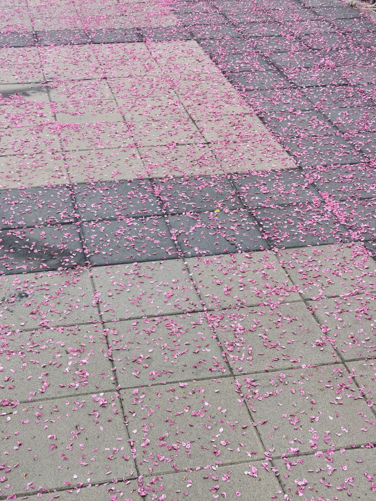 晚上一个朋友说好久没有聊天了，我觉得也是，除了男女朋友，现在聊天次数真的很少，有