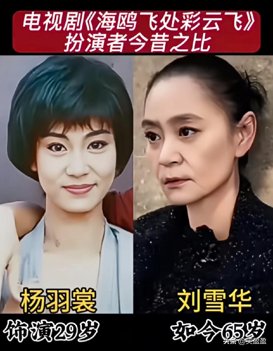 电视剧《海鸥飞处彩云飞》演员今昔对比，你还记得几位！你觉得谁的演技更胜一筹？