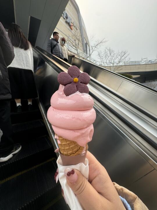 石家庄真是大城市……冰淇淋都30一个了？🥲