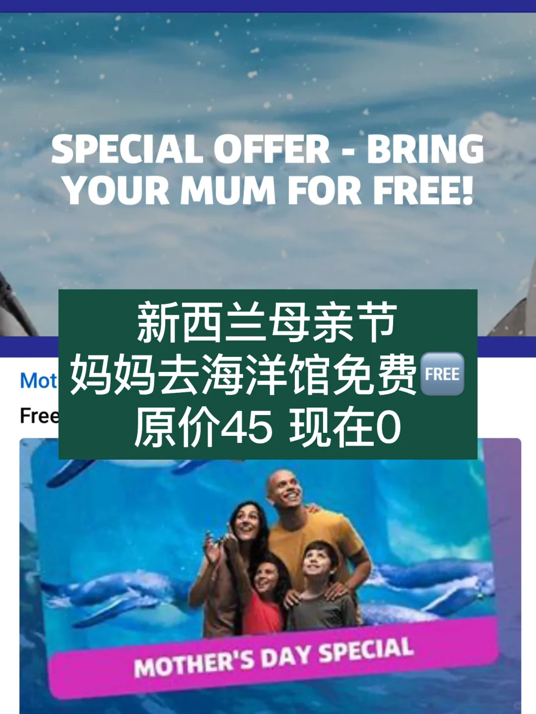 纽村海洋馆太贴心了！推出庆祝母亲节 母亲免费🆓进海洋馆的活动福利 送...