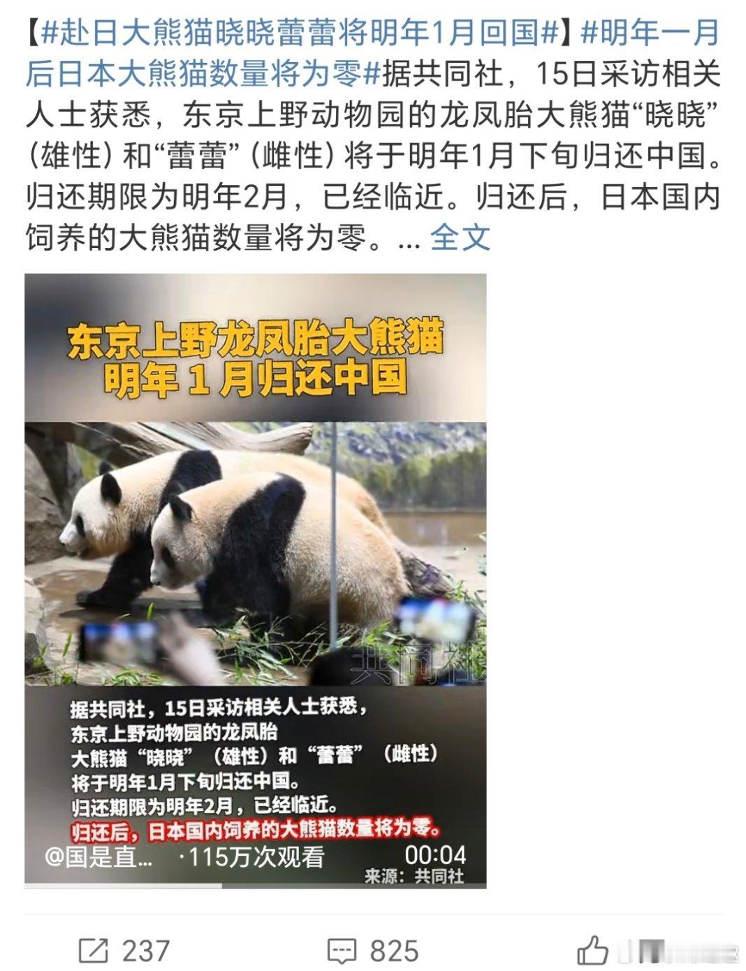 日本将不再有大熊猫牠们不配有！ 