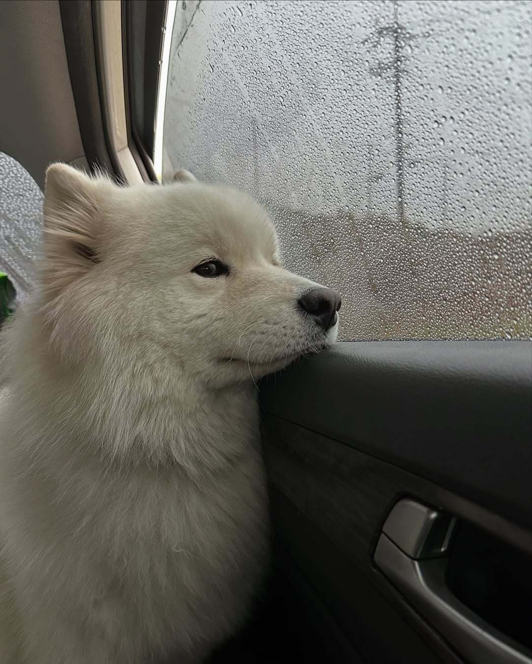 如果回到过去那一个下雨天我会为了你把伞撑开 