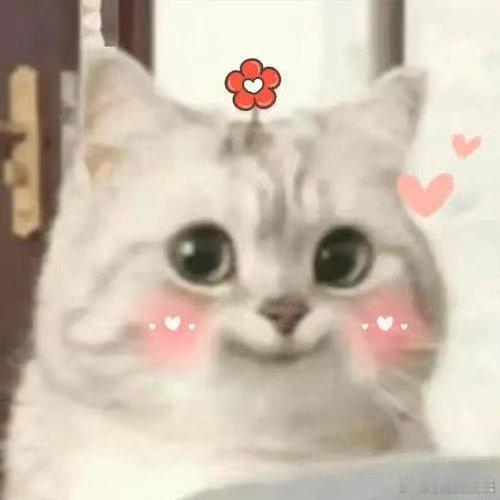 口述螺蛳粉 用心拆解螺蛳粉的美味密码，浓郁鲜辣汤底是灵魂，酸笋造就独特风味，荤素