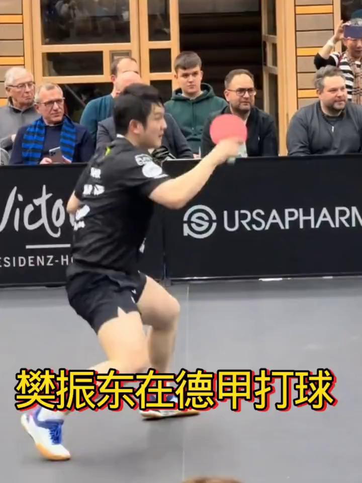 樊振东在德甲打球。
