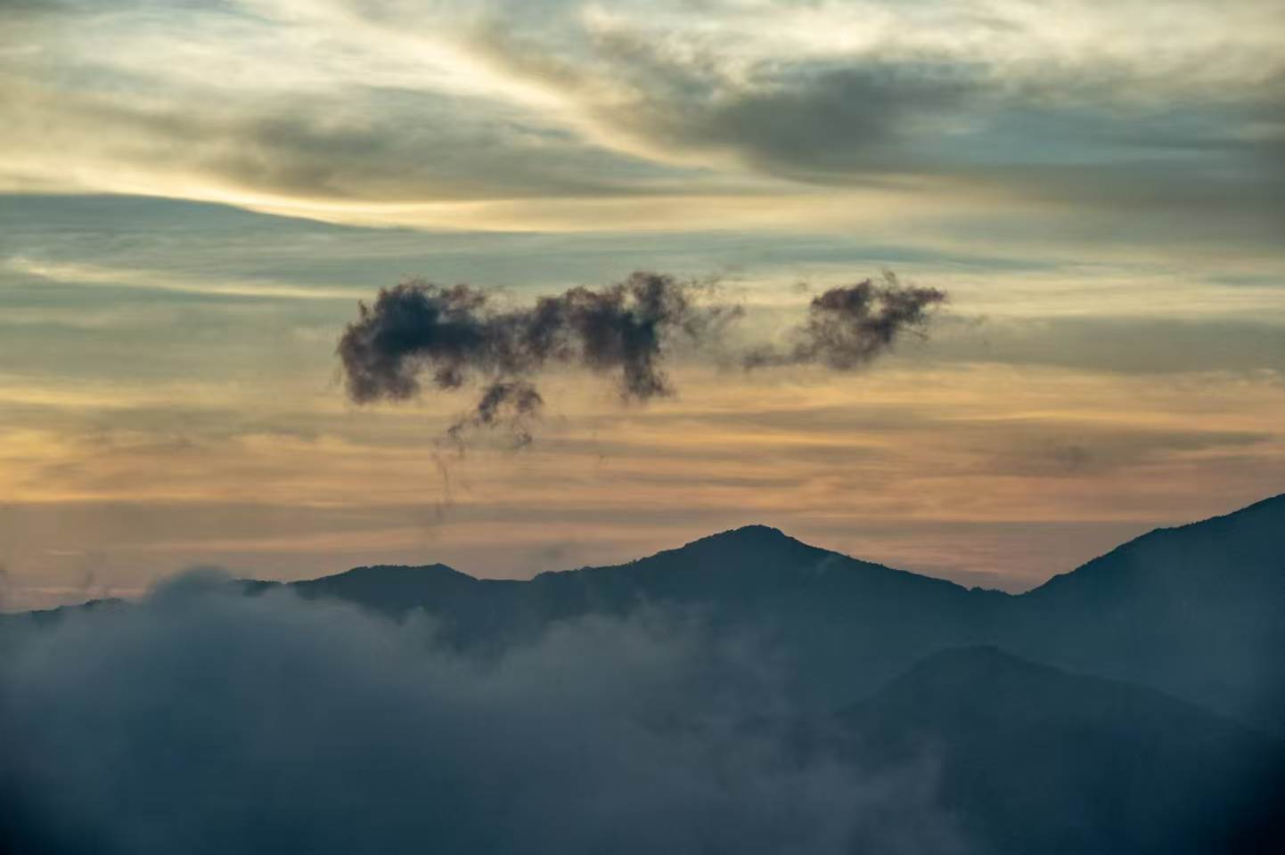 山上凉快 