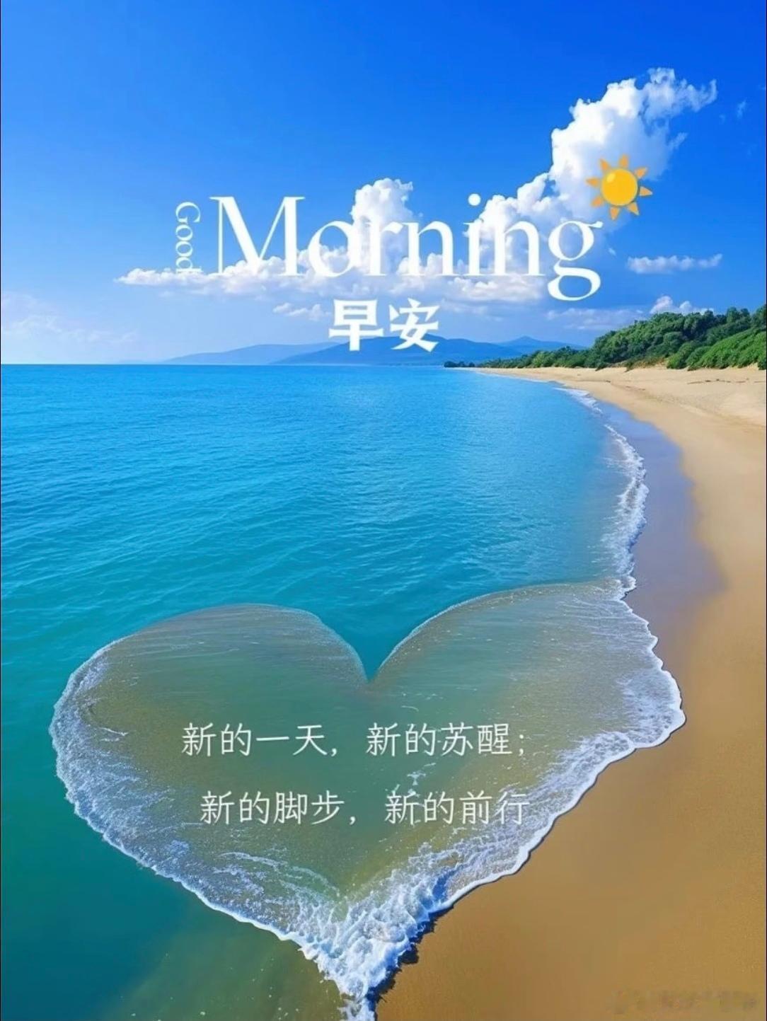 早安 早安。不必急于奔赴远方，先安顿好内心，内心安稳，走到哪里都是晴朗。 