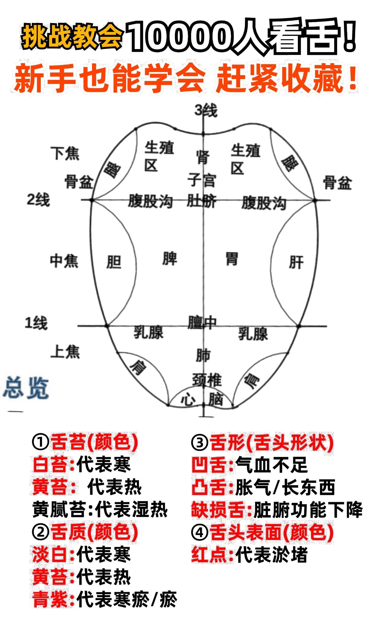 挑战教会新手10000人看舌！如何看舌？从哪入手？六张图讲清！

①舌苔、形、色