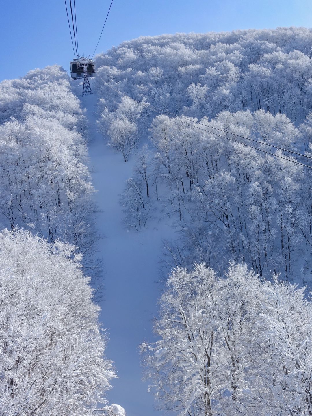 日本山形丨冰雪的浪漫竟如此震撼