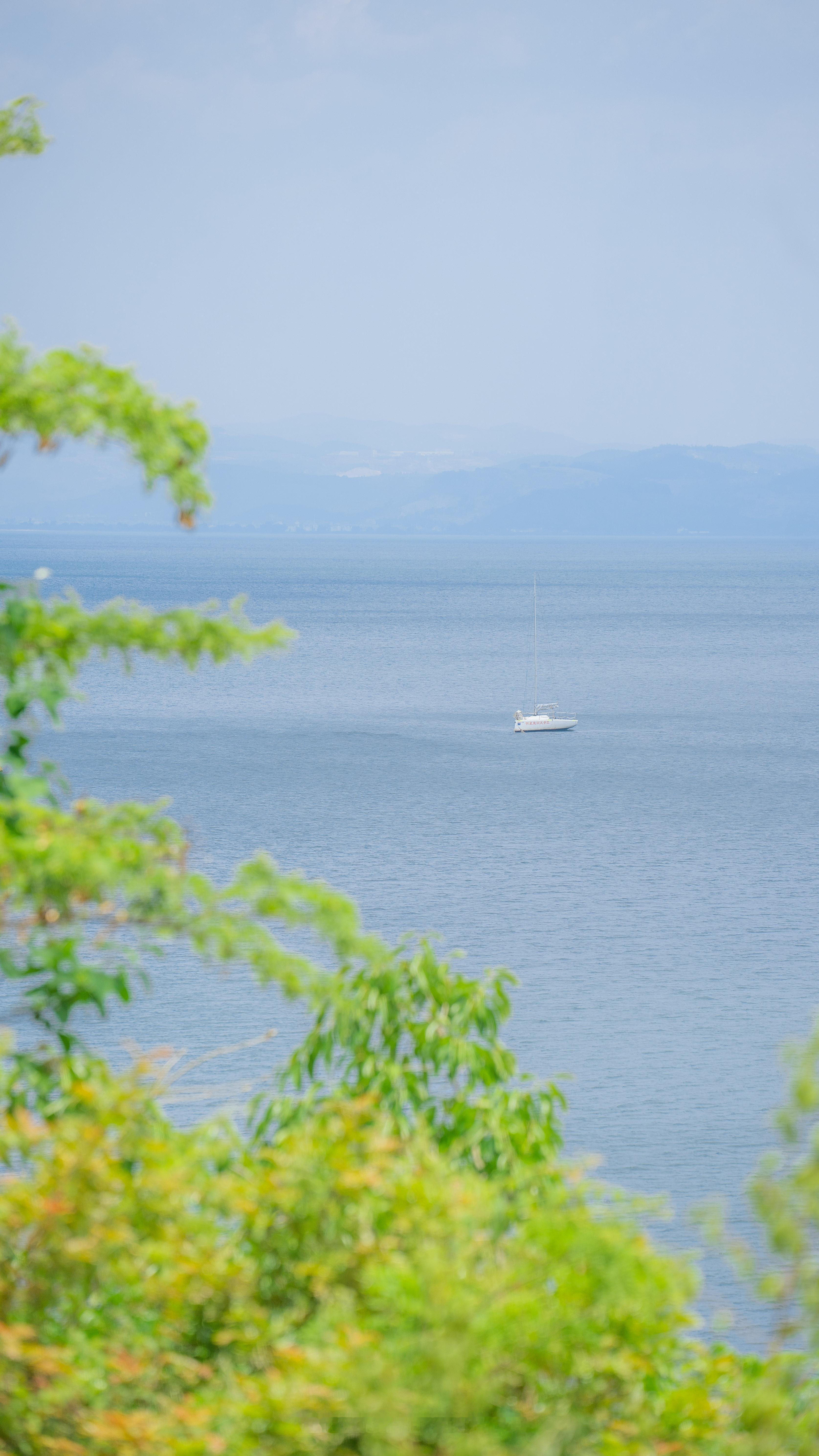 以最大的平静去热爱我们不确定的生活。#盛夏光年# ​​​