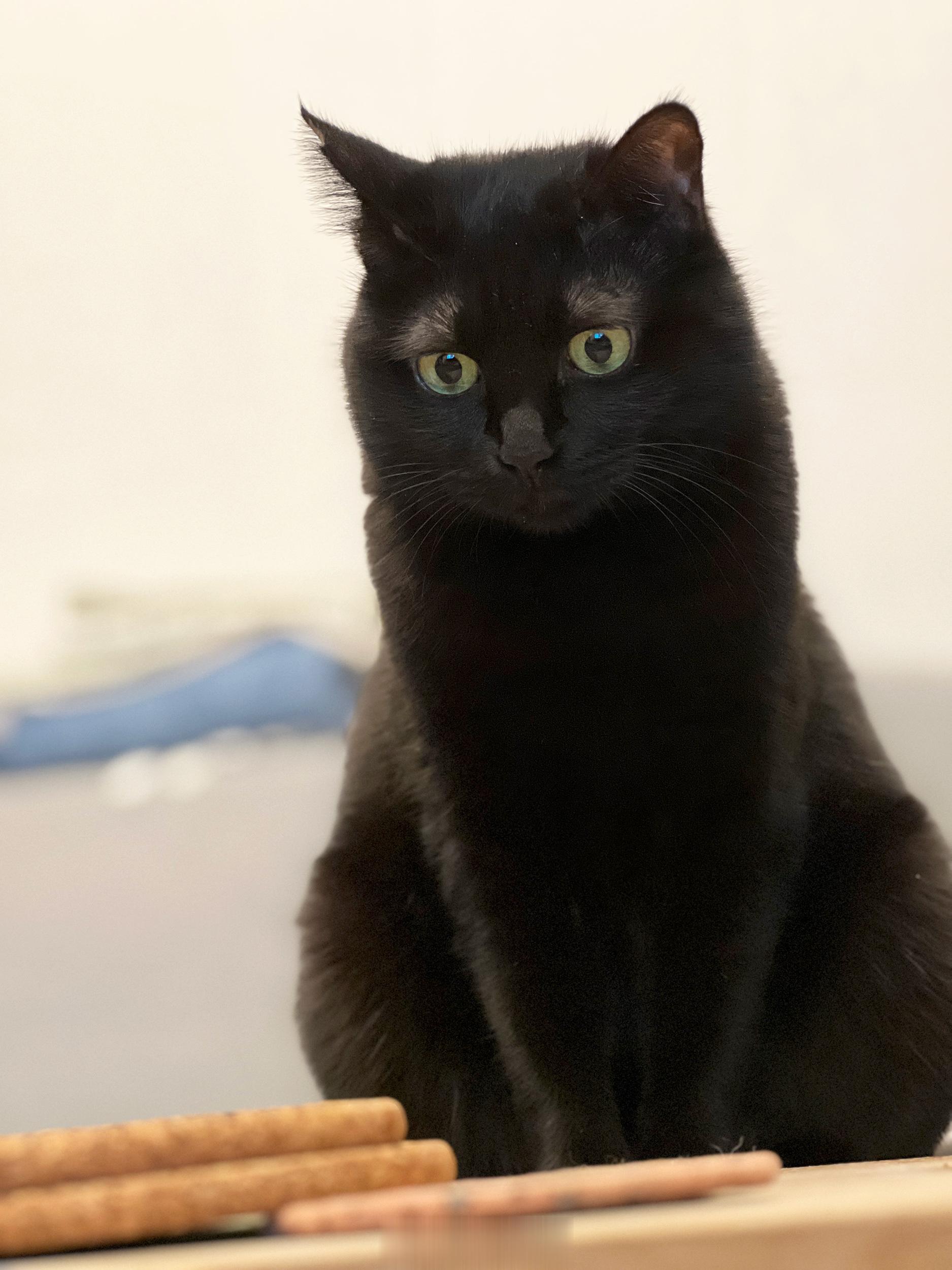 妳還！！妳還這個小表情#蝦蝦不可以太可愛# ​​​