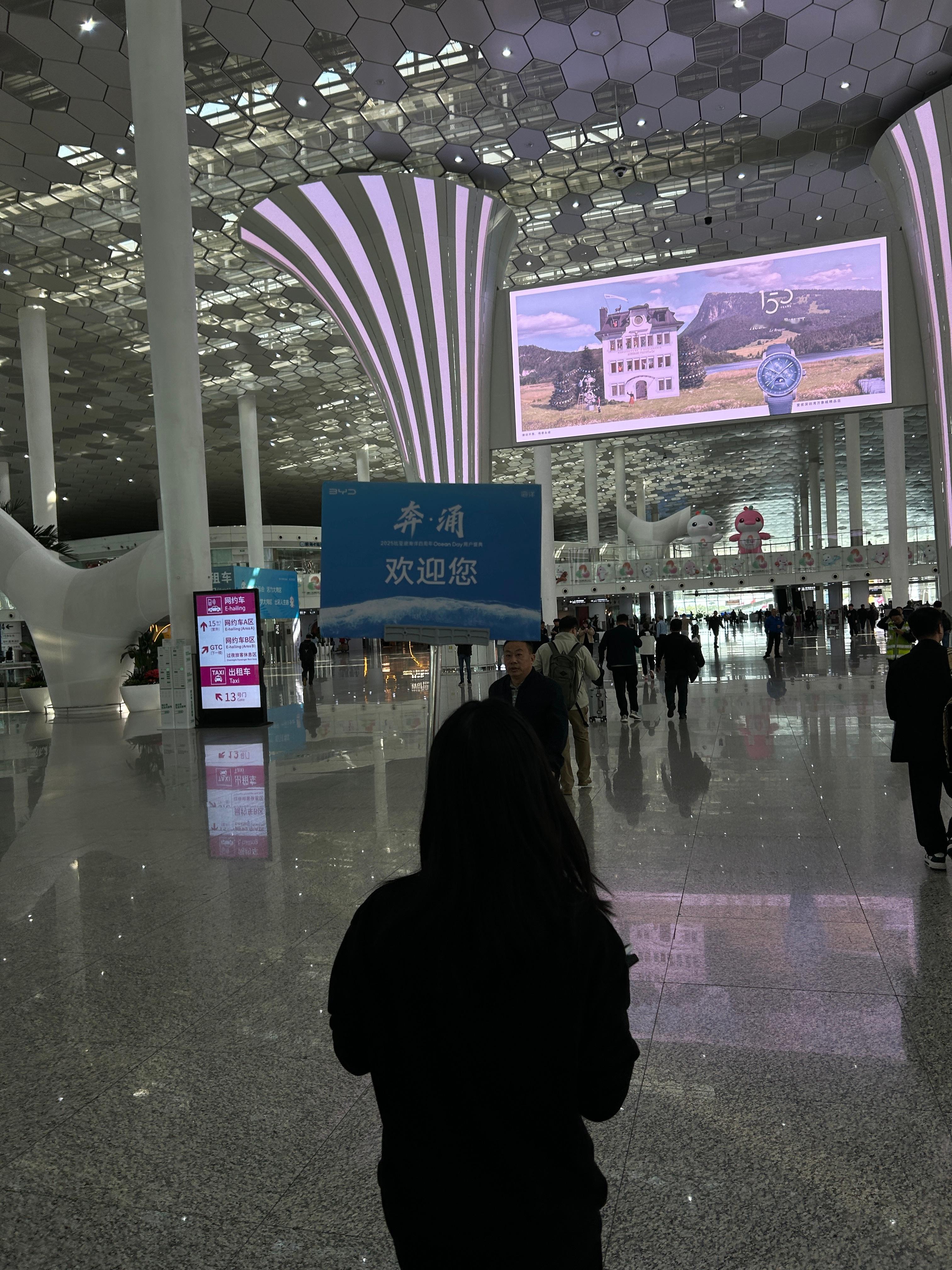 接机牌真的不用学“小字”概念 深圳·深圳宝安国际机场