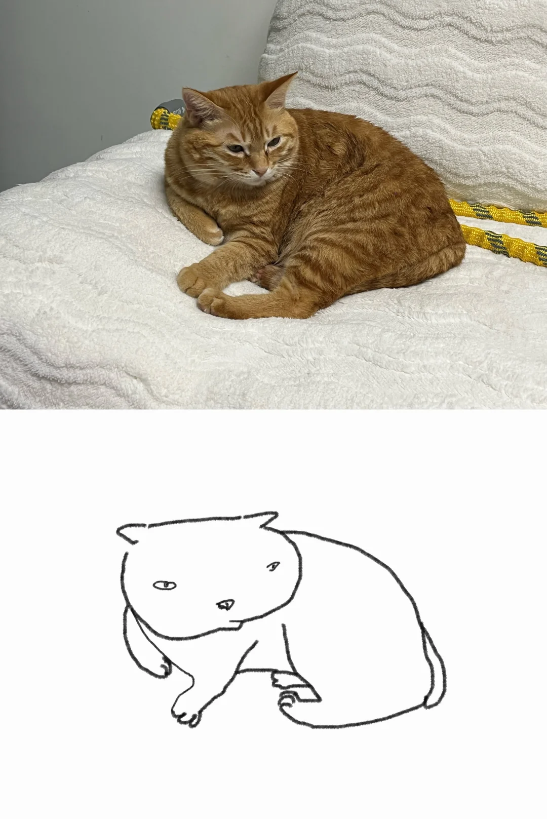 今日练习