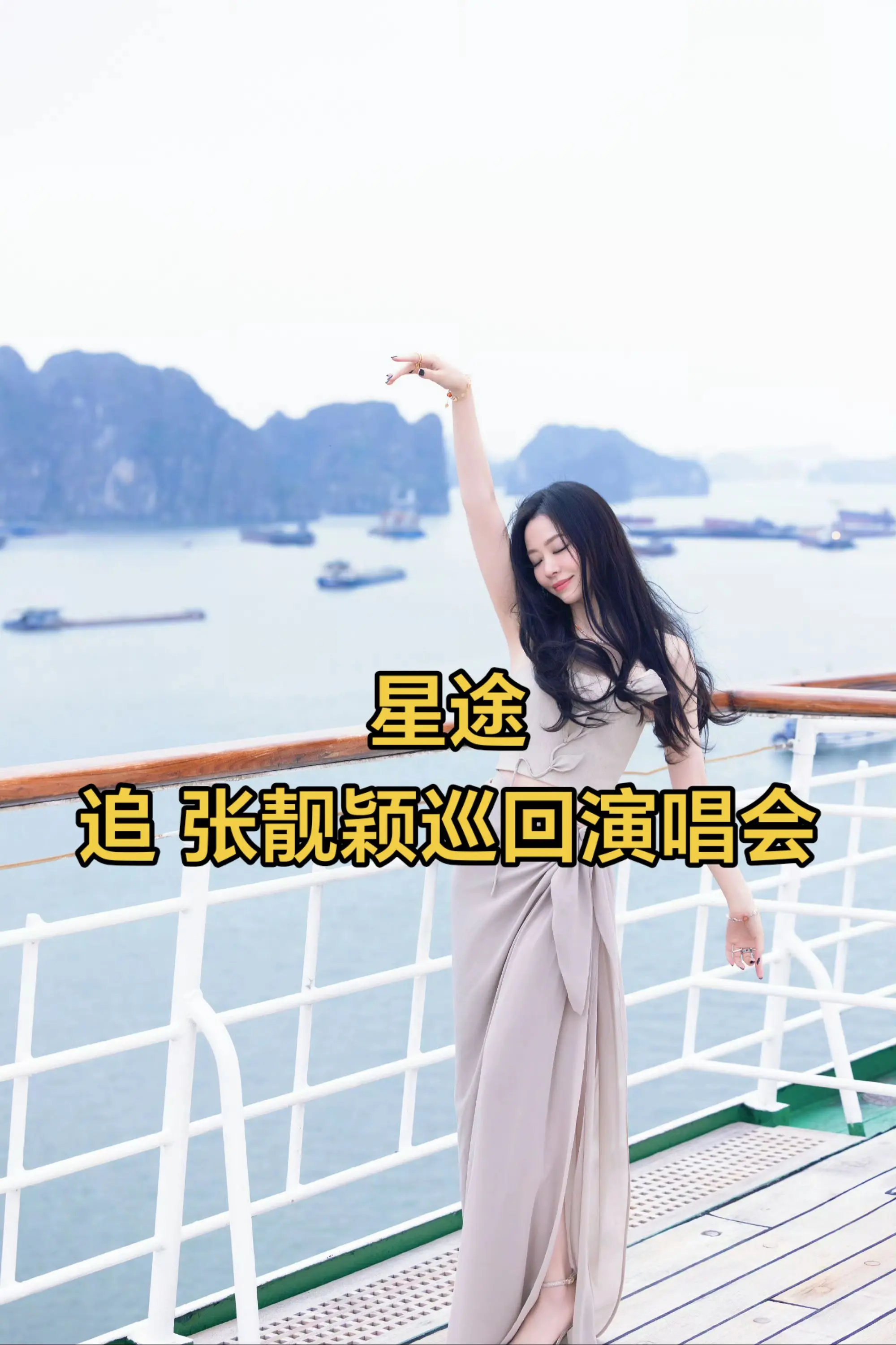星途 请上桌