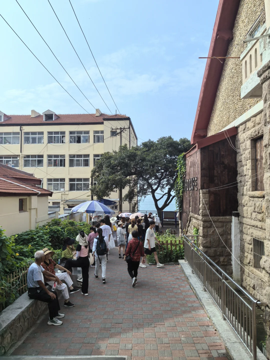青岛早八点各景点已开工排队