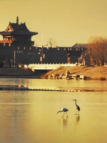 现在才明白，享受当下如此简单。

风掠过窗台，不必追问它要去往何方；茶盏里浮起的