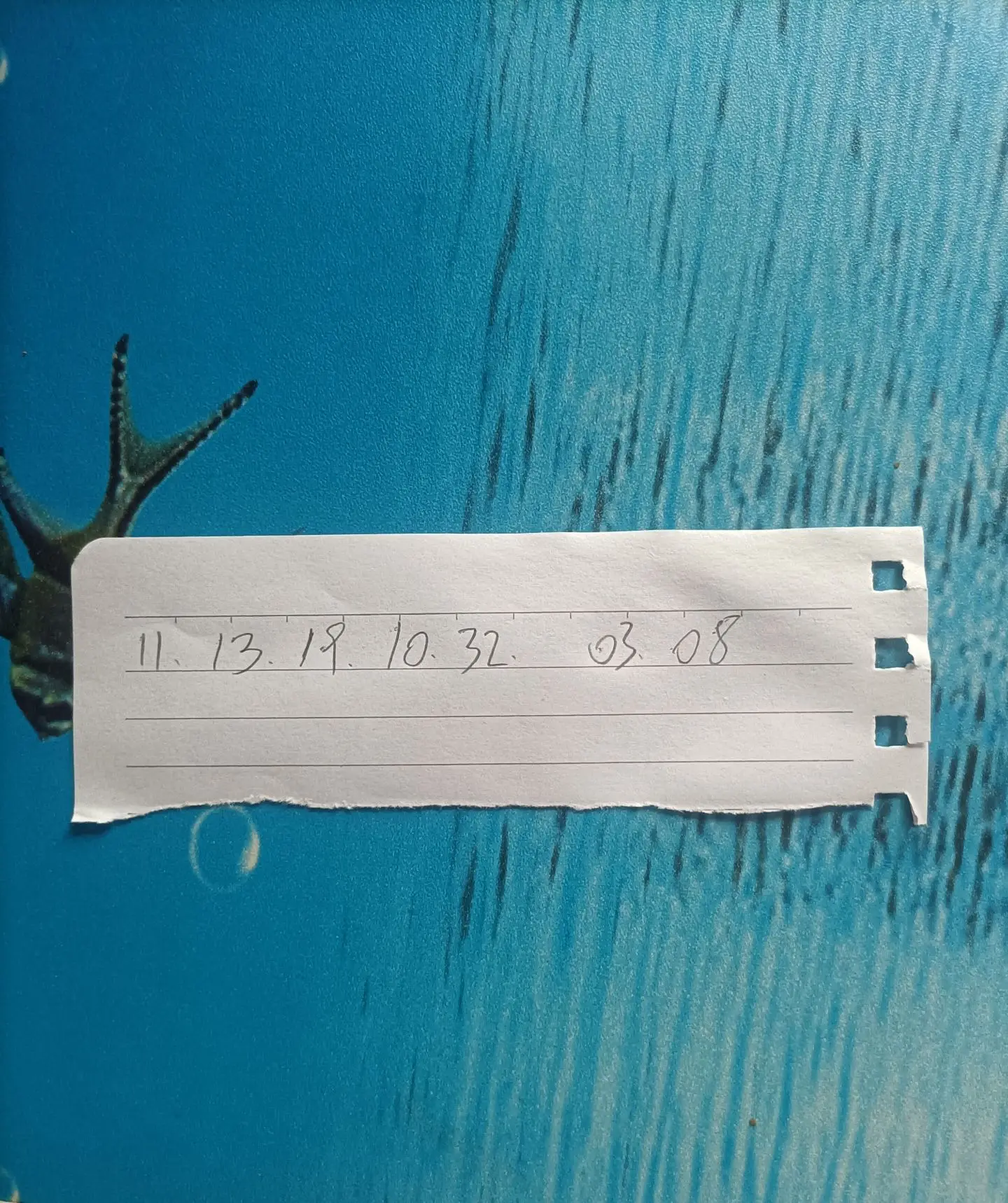 试试手气