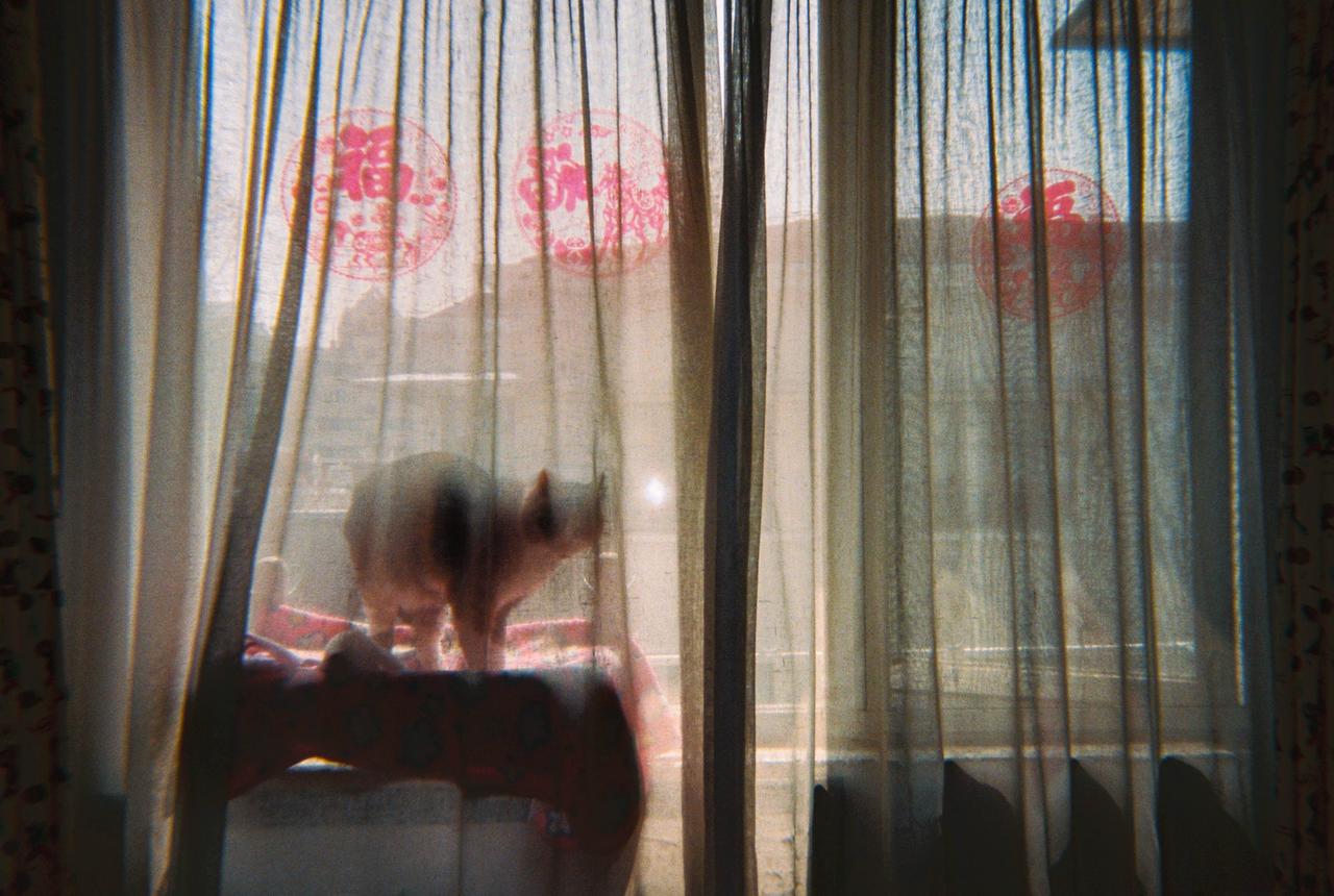 2026街头舞台继续(106）