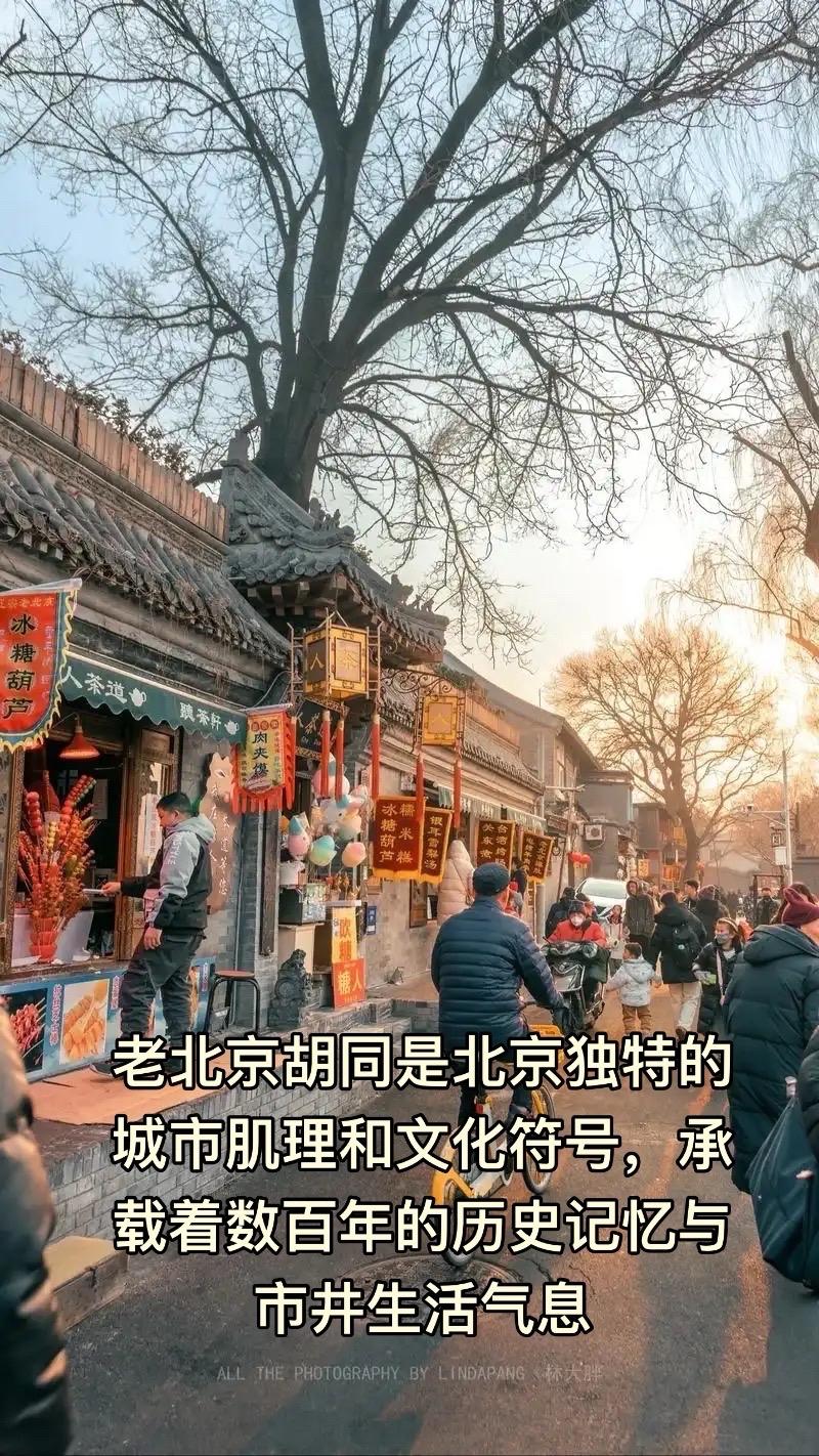 老北京胡同是北京独特的城市肌理和文化符号，承载着数百年的历史记忆与市井生活气息。