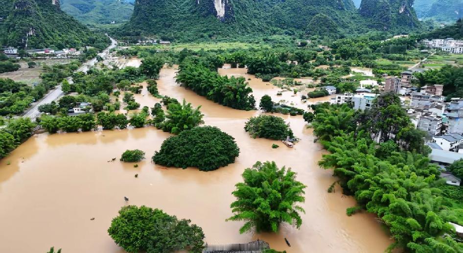 阳朔洪水来袭啦！6月8号遇龙河受强降雨影响，水位大幅上涨超标。今天想坐竹筏漂流的