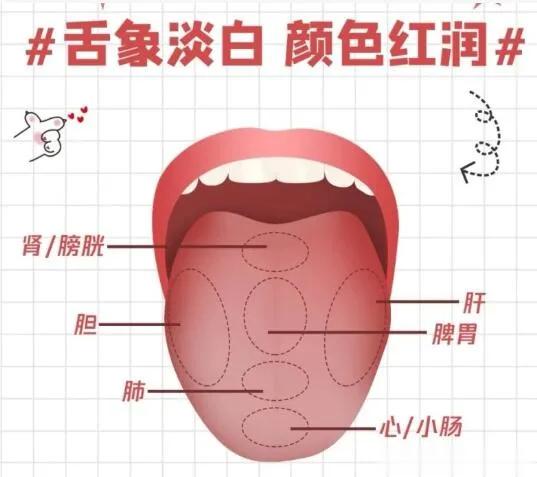 中医舌诊自测1、舌头边上有齿痕——脾虚湿气重2、舌头颜色淡白——气血不足3、舌苔