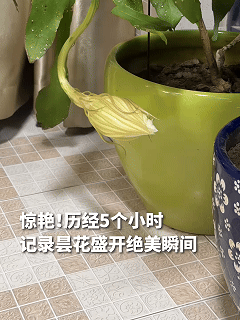 “终于解释清楚了！”这位女士那天准备关灯休息，眼瞅着屋里没什么特别的，可无意间就