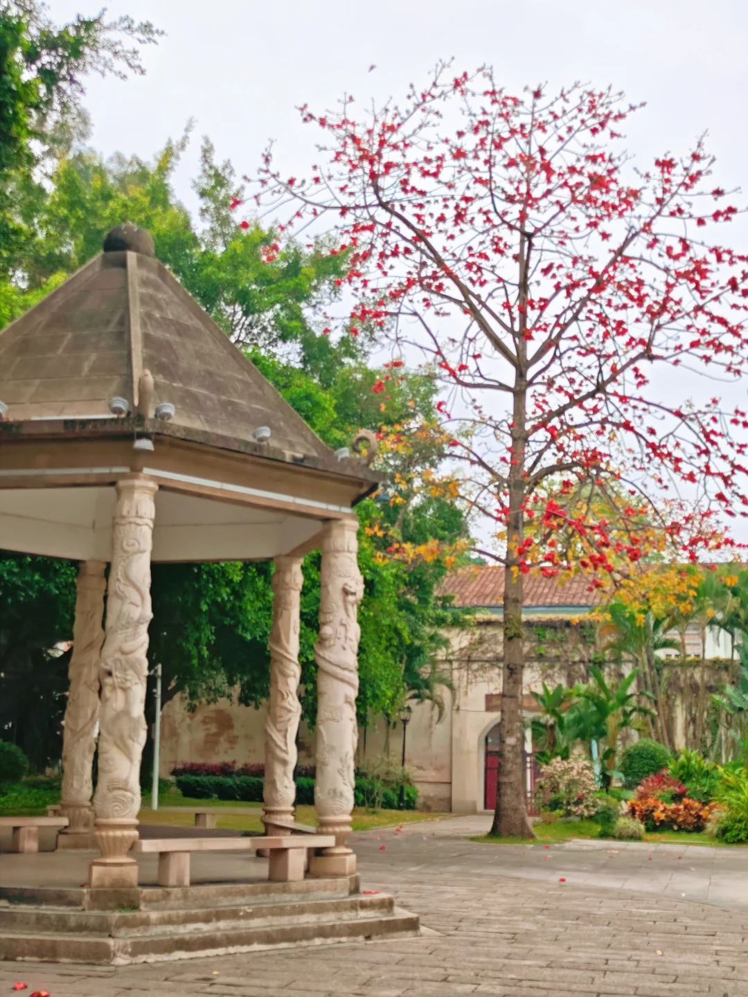 不止古城！漳州宝藏公园春色正好！